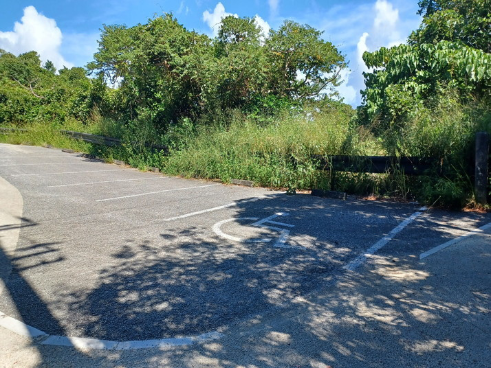 20250924_140432.jpg