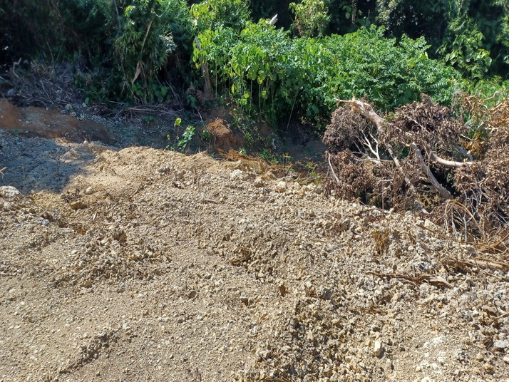 20250924_141843.jpg