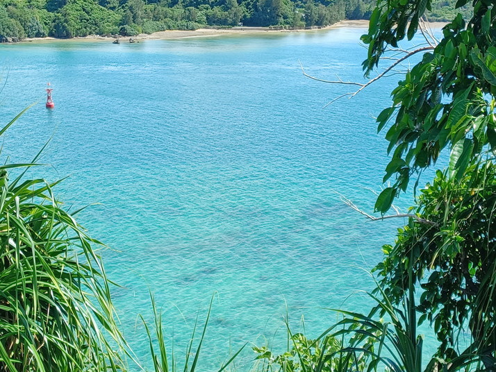 20250924_141930.jpg