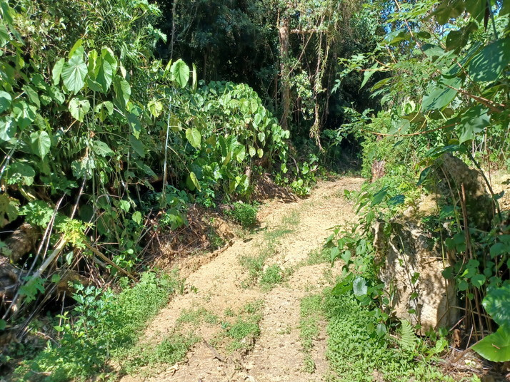 20250924_142124.jpg