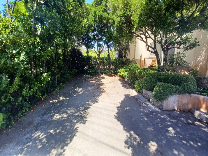 105.jpg